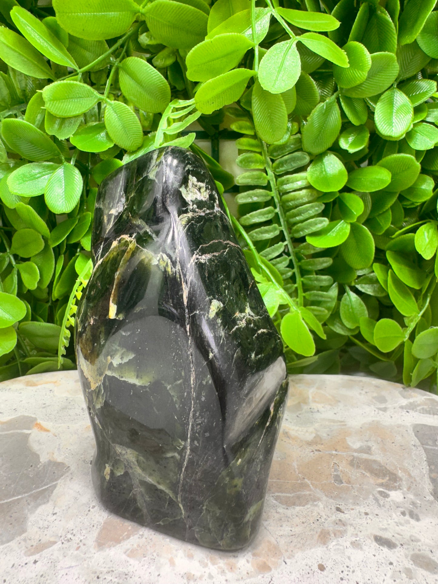 Nephrite Jade Freeform 644g