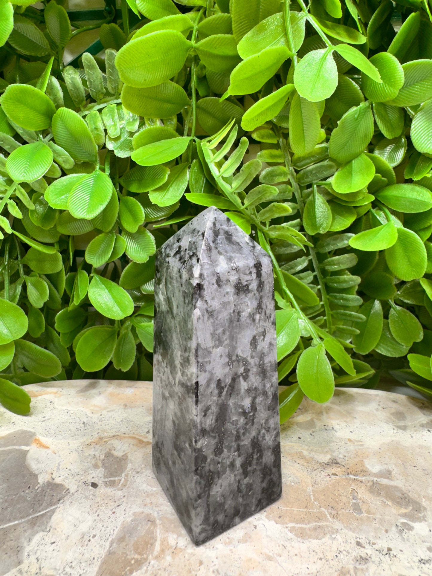 Larvikite Point 232g