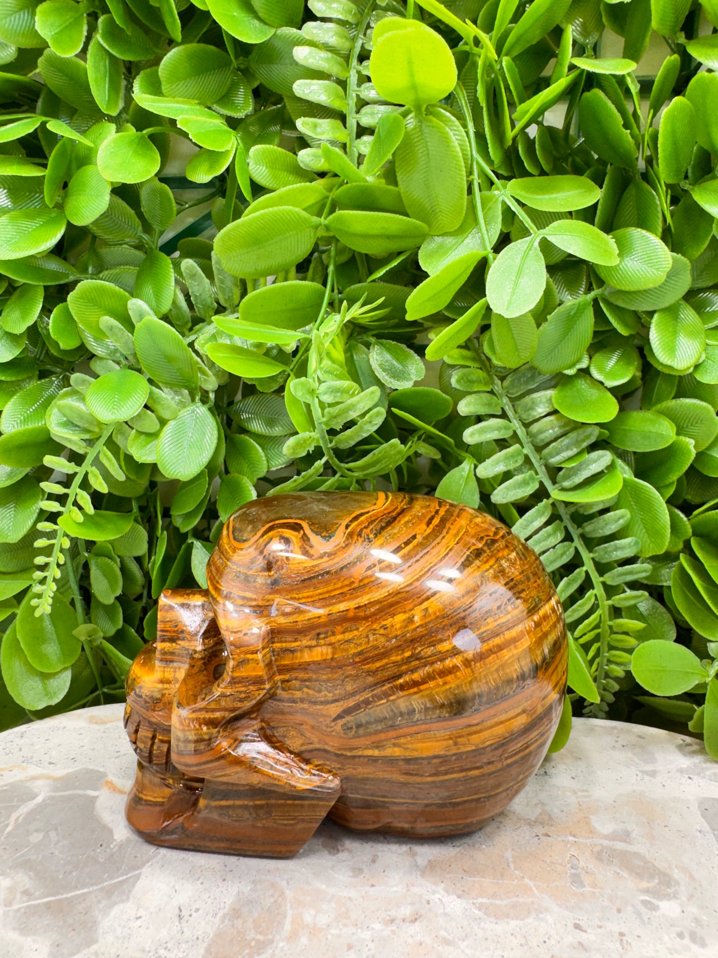 Tiger Ore Skull 1100g