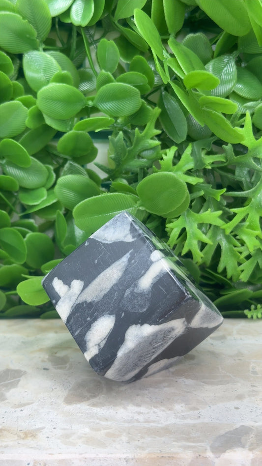 Shell Jasper Cube 324g