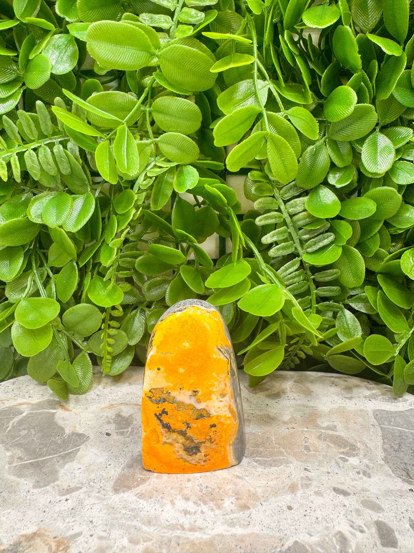 Bumble Bee Jasper Freeform 164g