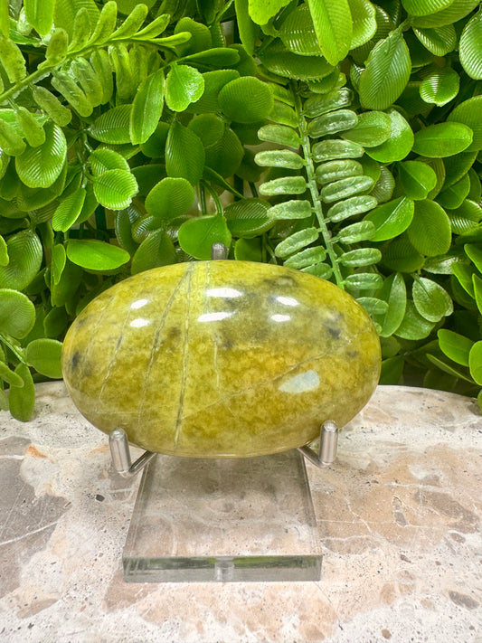 Green Jade Palm Stone 168g