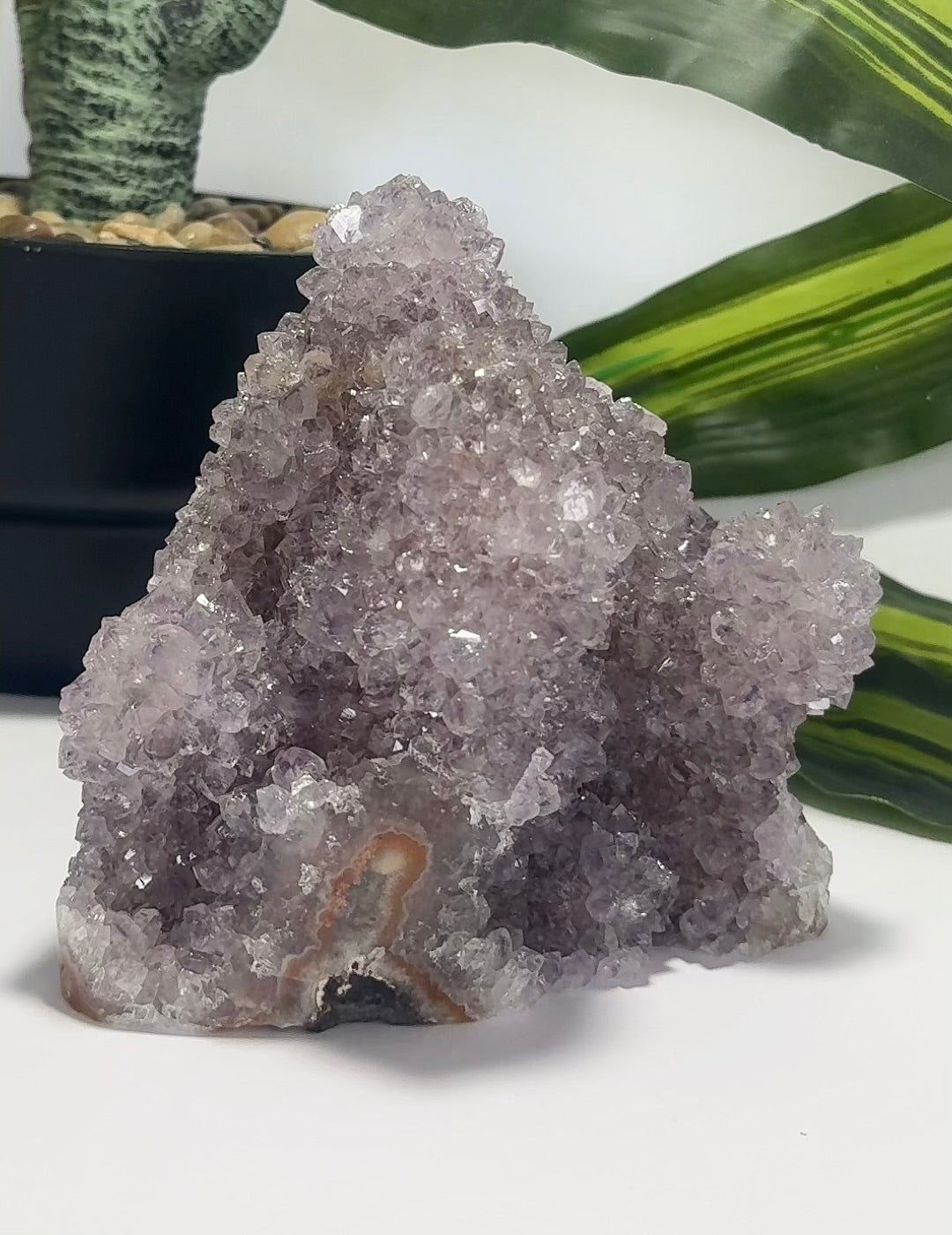 Amethyst Cluster Freeform 1.1kg