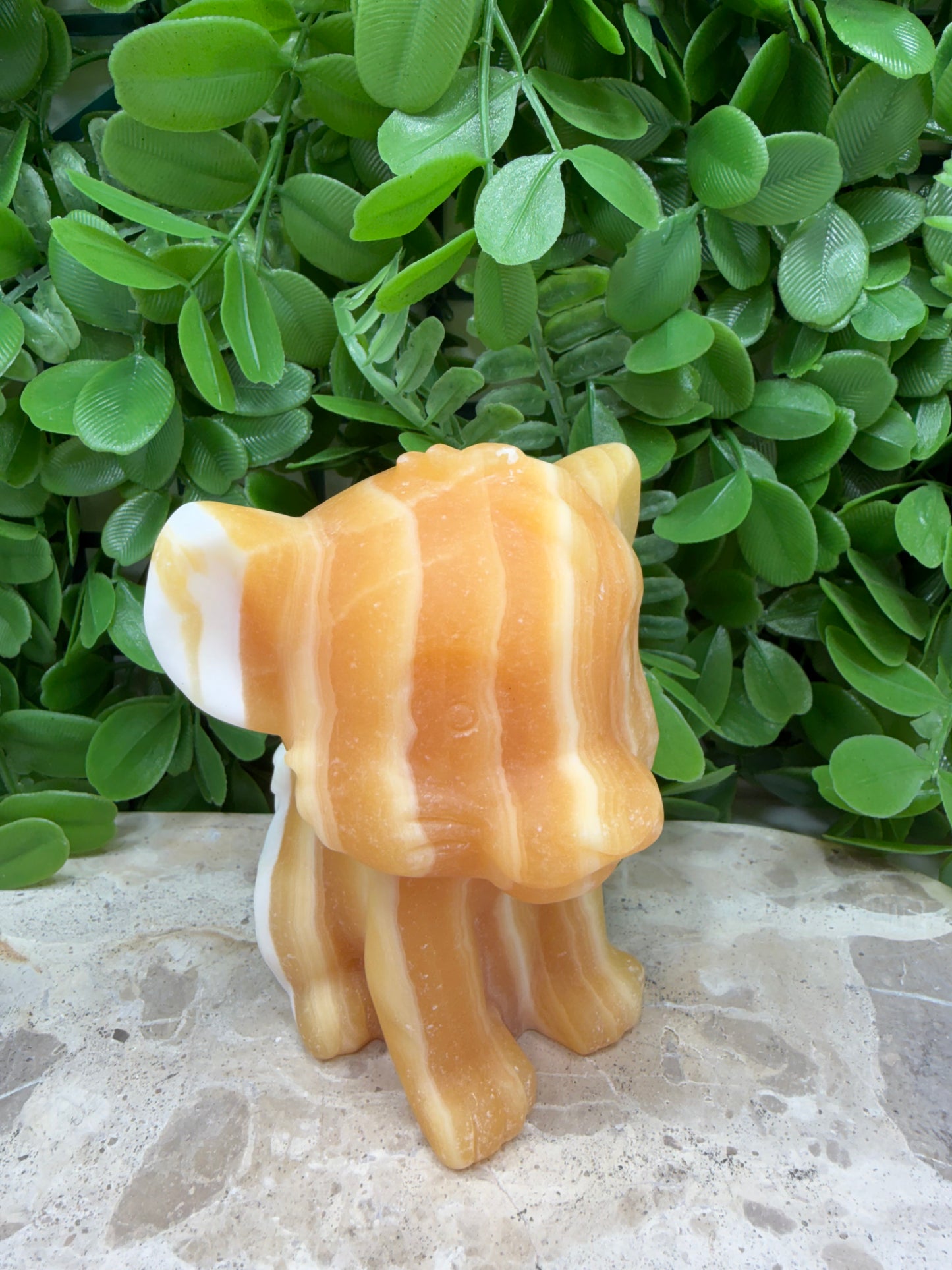Orange Banded Calcite Lion Cub 554g