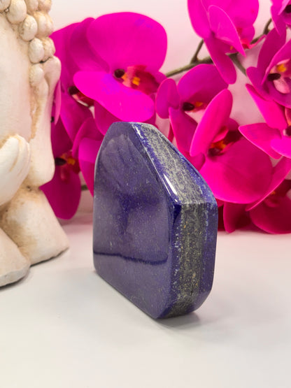 Lapis Lazuli Freeform 682g