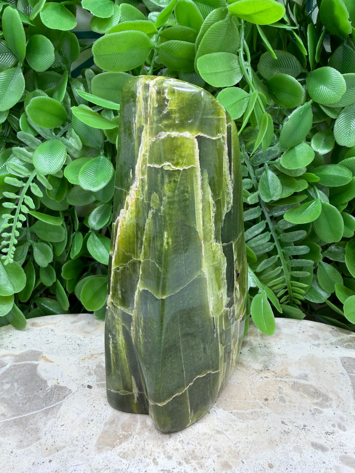 Tremolite Freeform | Calm • Balance • Spiritual Growth