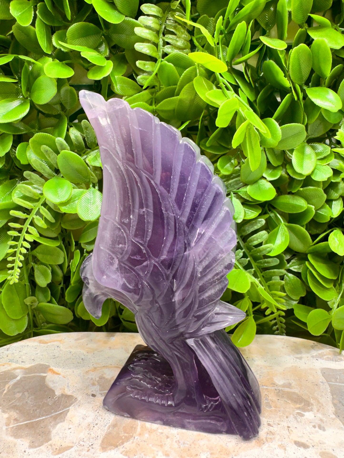 Fluorite Eagle 728g