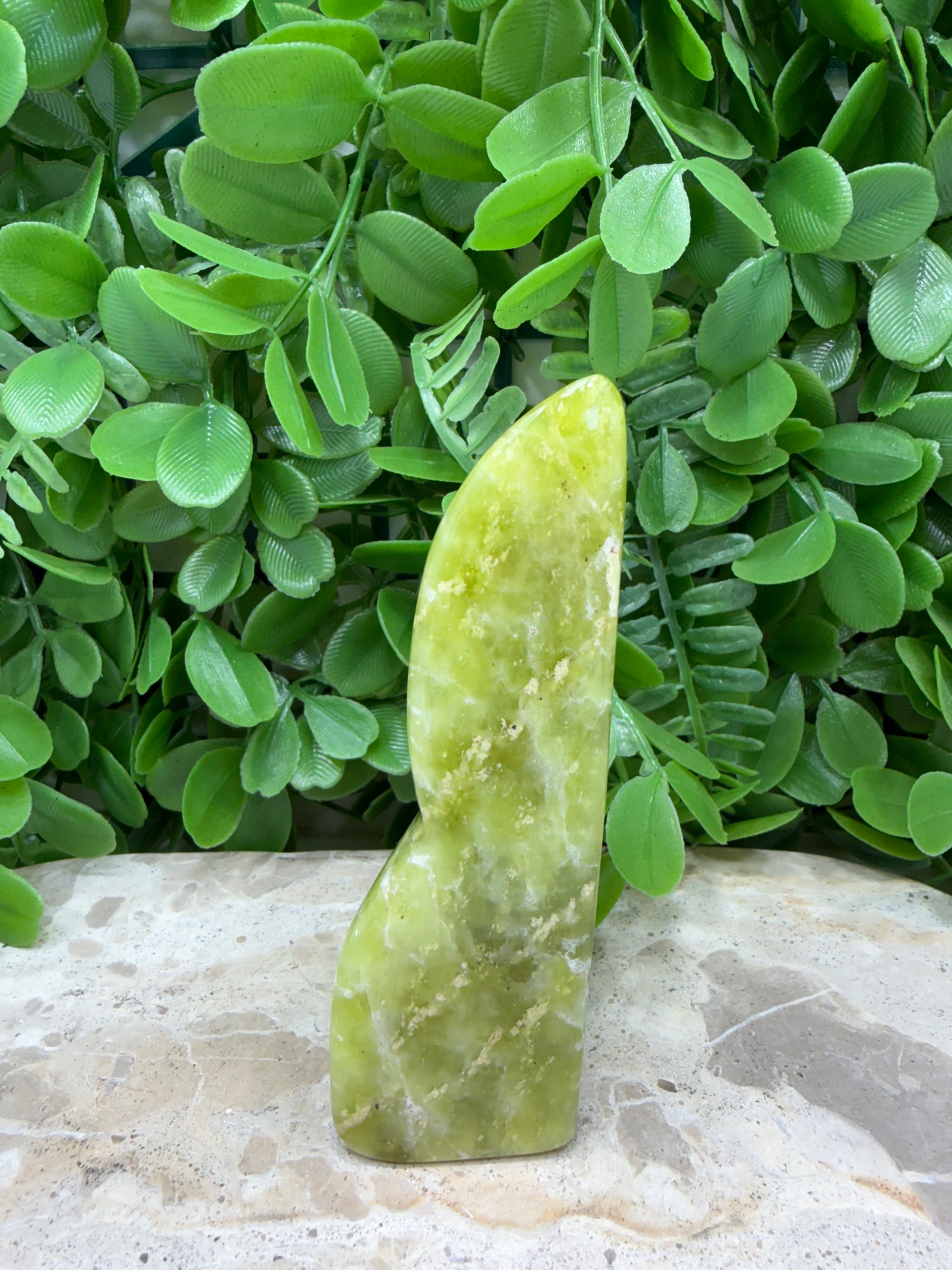 Lizard Serpentine Freeform 218g