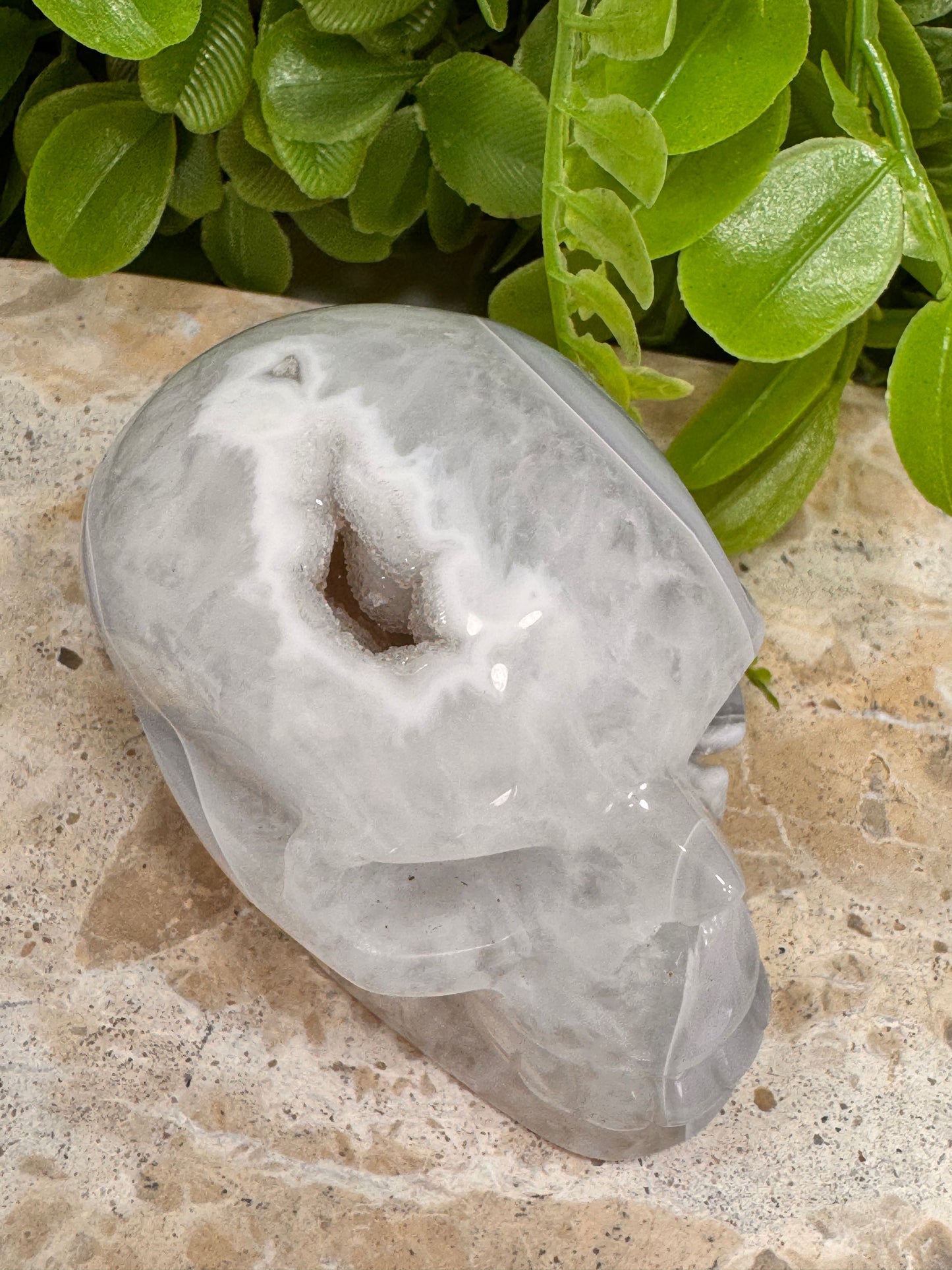 Agate Druzy Skull 266g