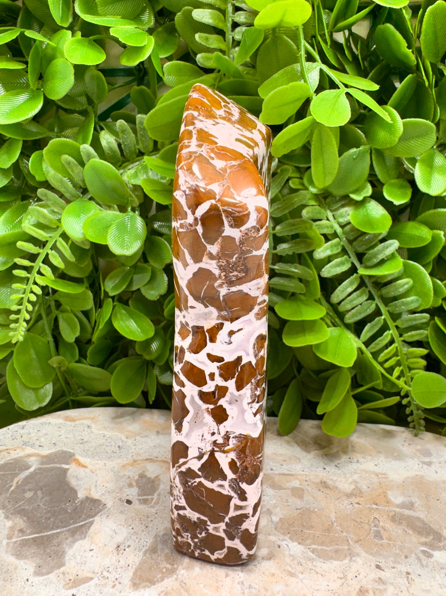 Jasper Agate Freeform 780g