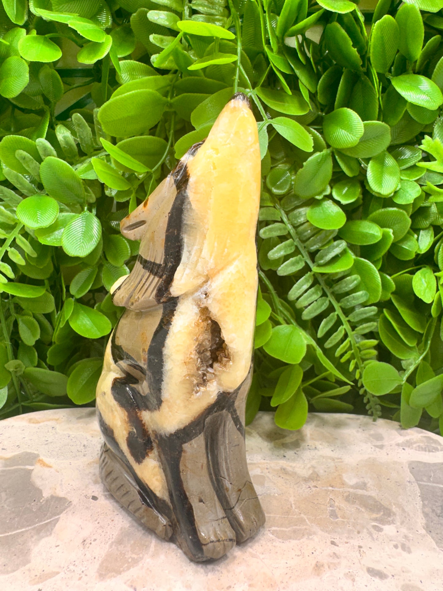 Septarian Dragon Stone 579g