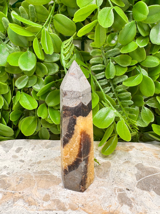 Septarian Dragon Stone Point 120g