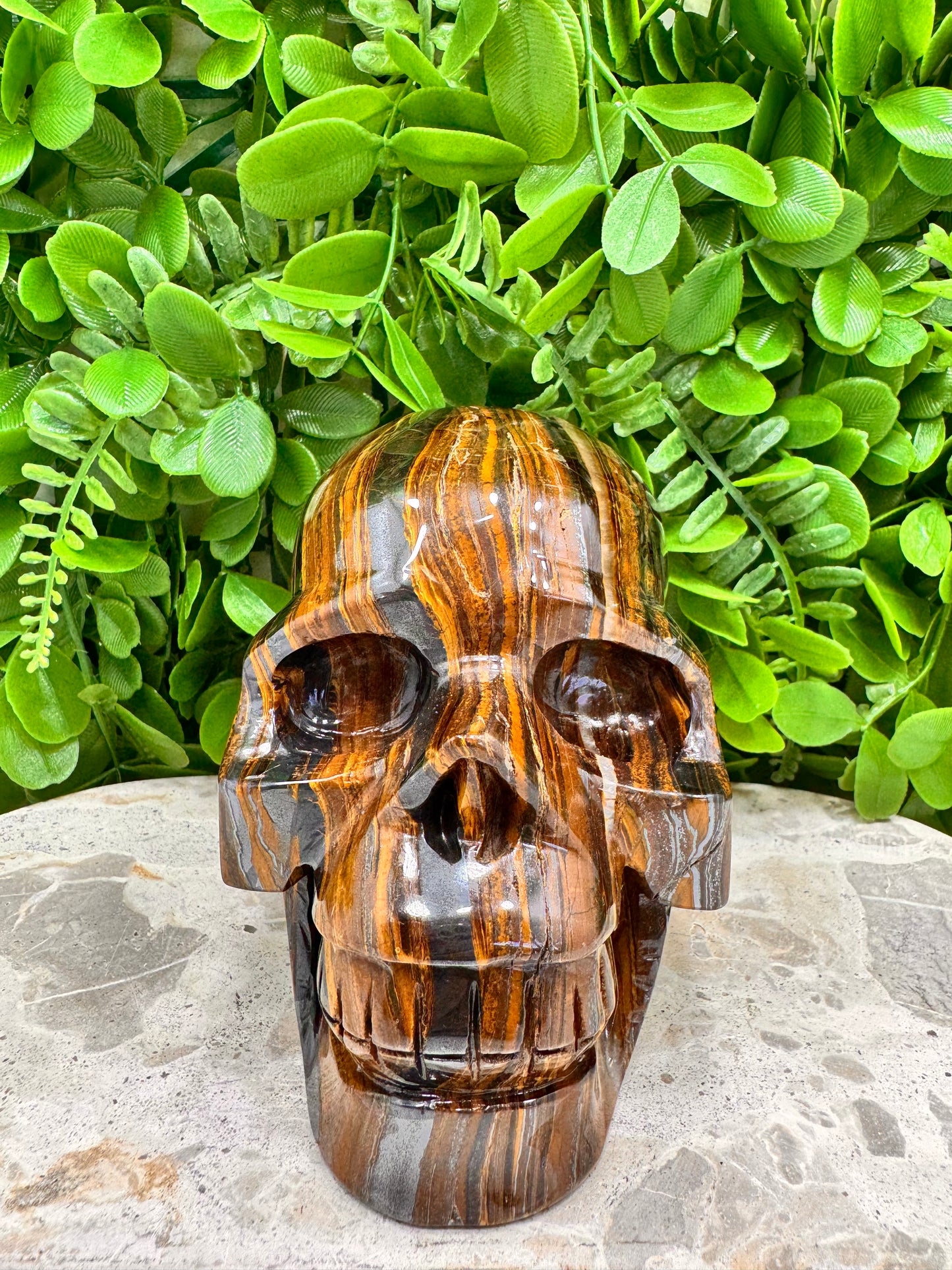 Tiger Ore Skull 2134g