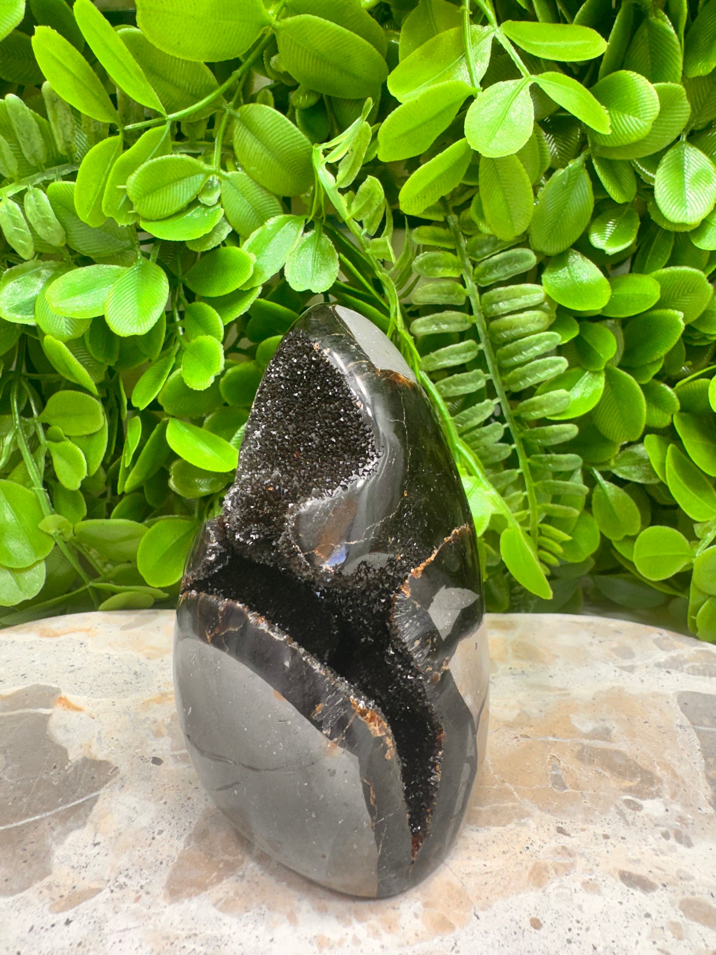 Septarian Freeform 570g