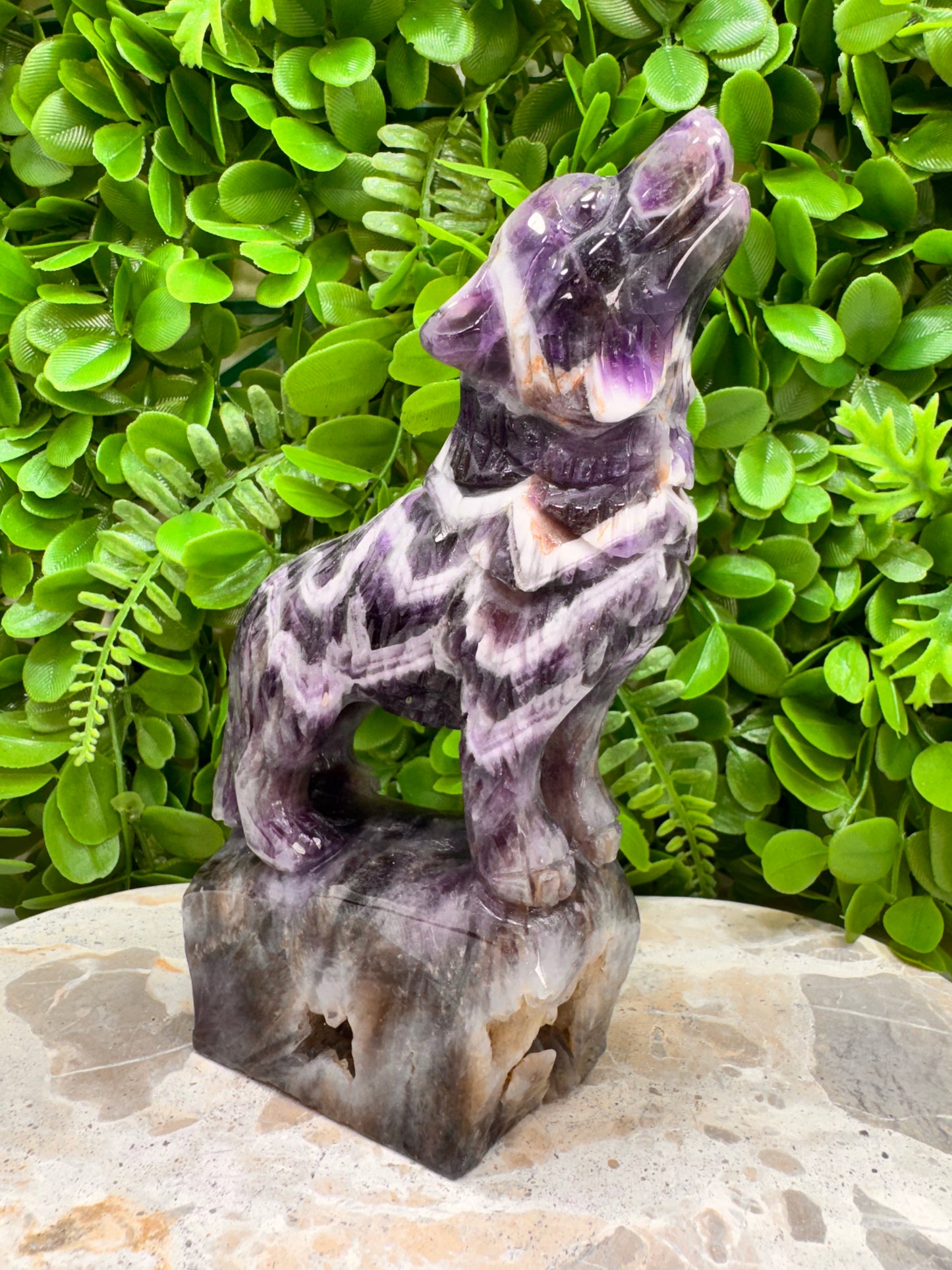 Chevron Amethsyt Wolf 920g