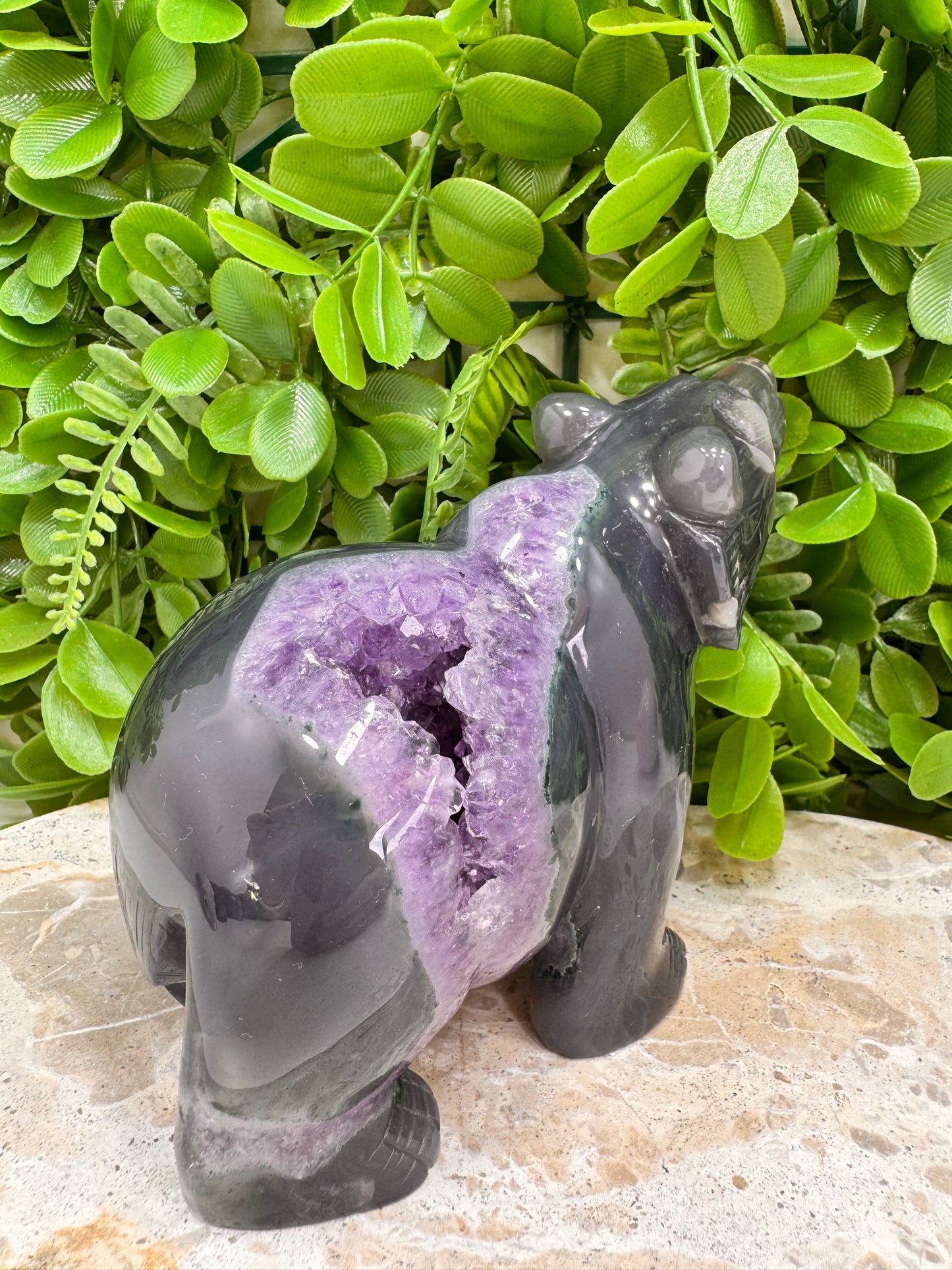 Amethyst Druzy Agate Bear 916g