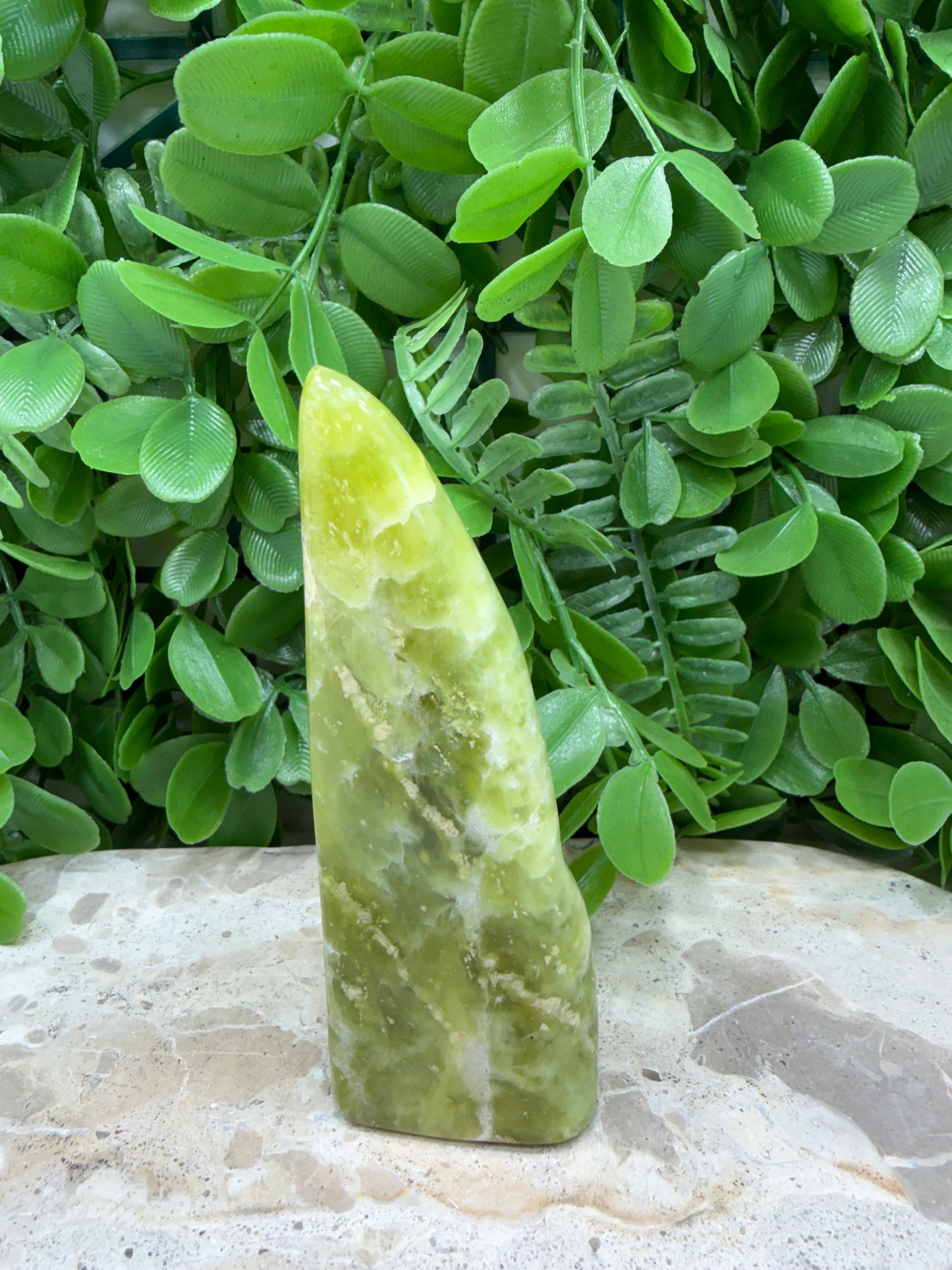 Lizard Serpentine Freeform 218g