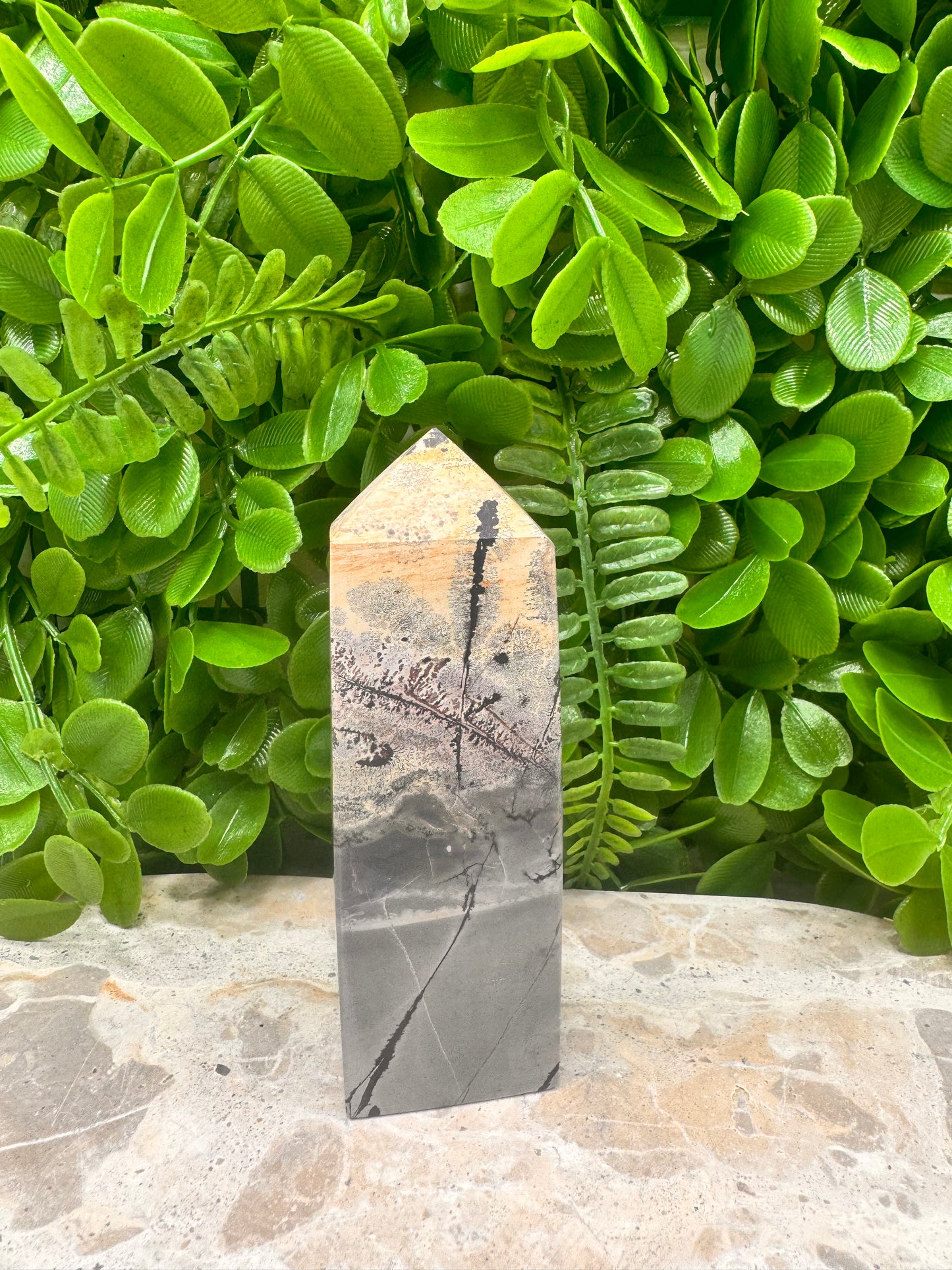 Picture Jasper Tower 214g