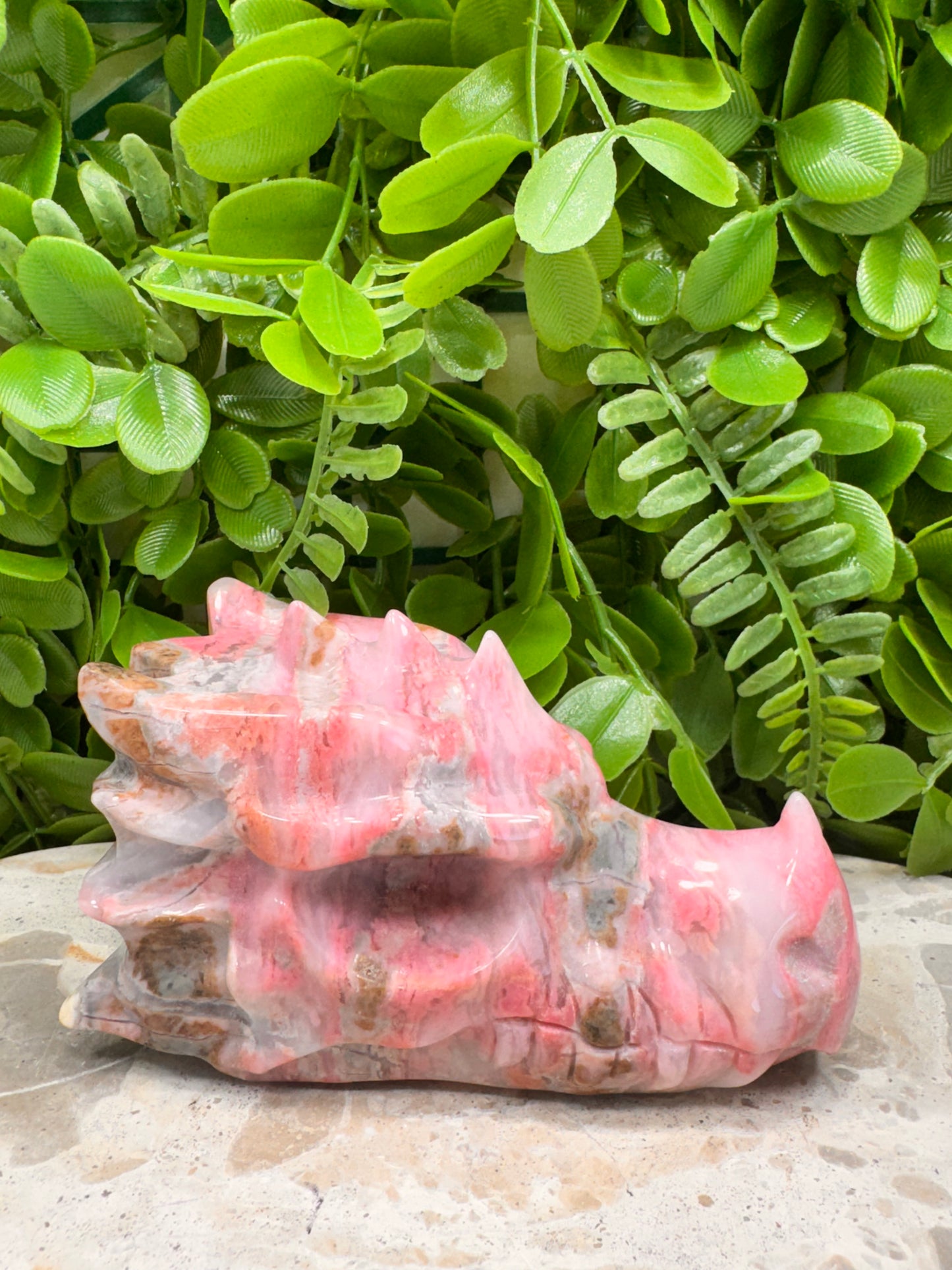 Rhodonite Dragon Skull 744g