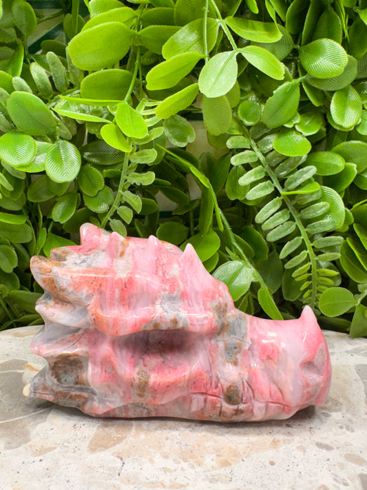 Rhodonite Dragon Skull 744g