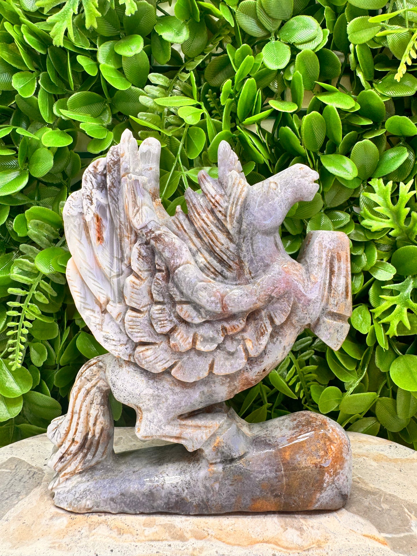 Ocean Jasper Pegasus 1012g