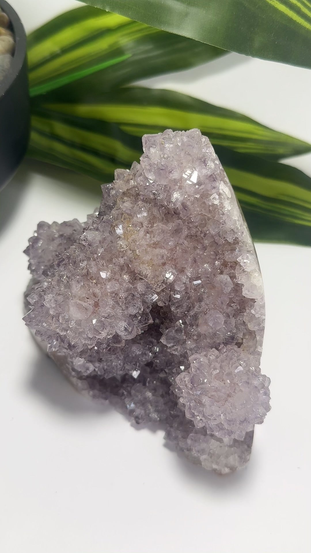 Amethyst Cluster Freeform 1.1kg