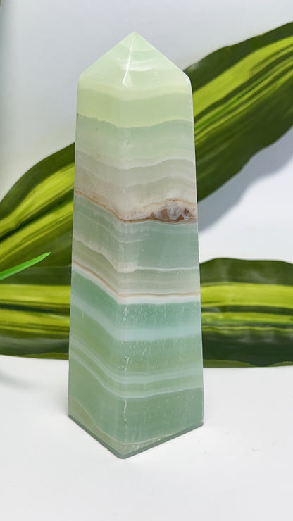 Pistachio Tower 362g