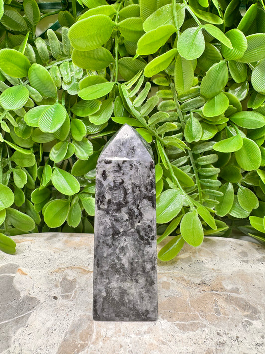 Larvikite Point 232g