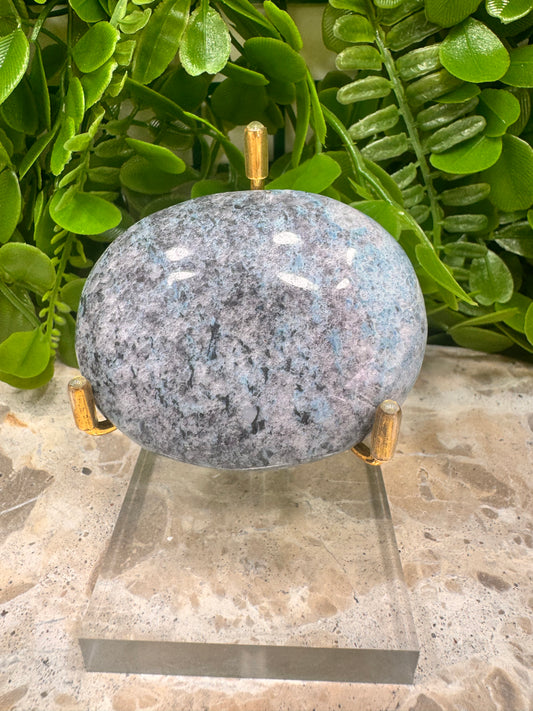 Trolleite Palm Stone 124g