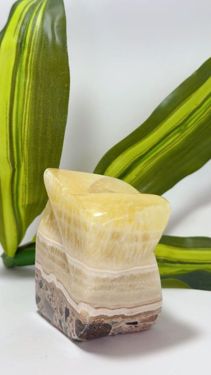 Pineapple Calcite Freeform 524g