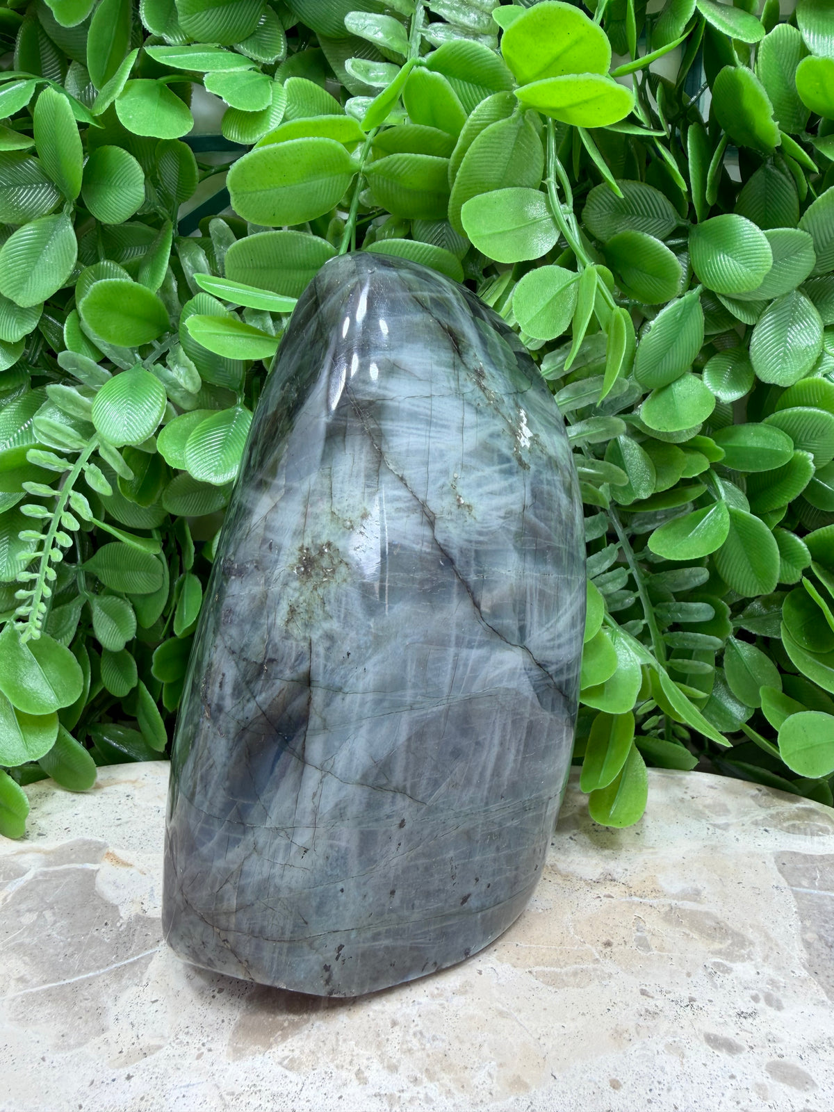 Labradorite Freeform | Protection • Intuition • Transformation