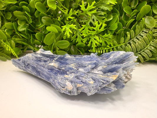 Kyanite Raw 834g