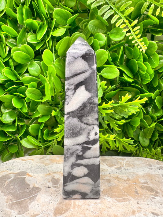 Shell Jasper Tower 420g