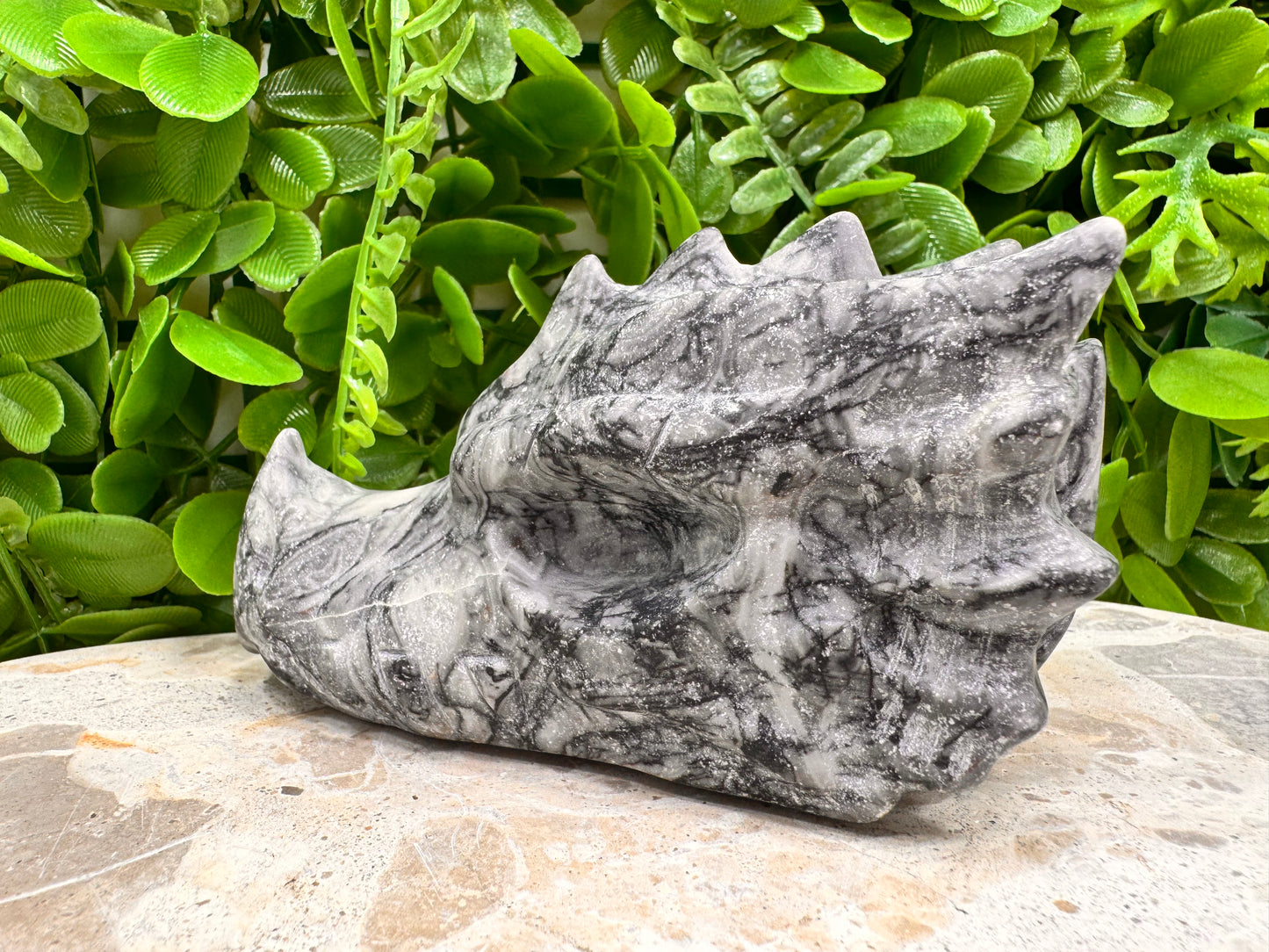 Fossil Dragons Skull 512g