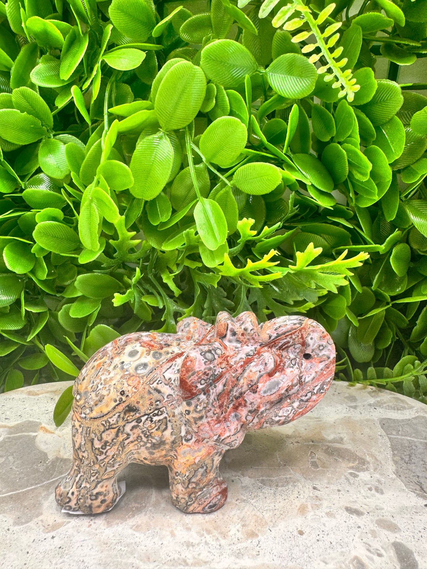 Red Leopard Skin Jasper Elephant 326g