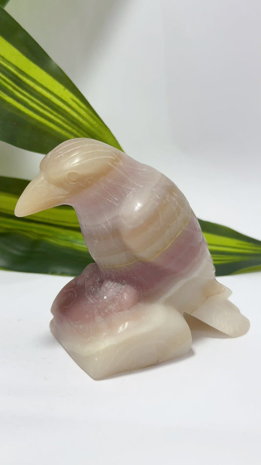 Pink Pistachio Calcite Raven 382g