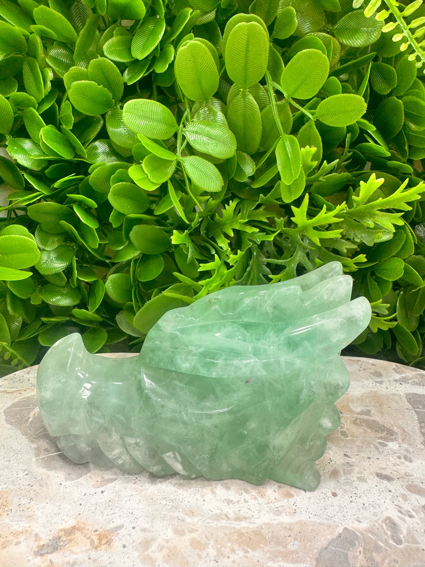 Green Fluorite Dragon 662g