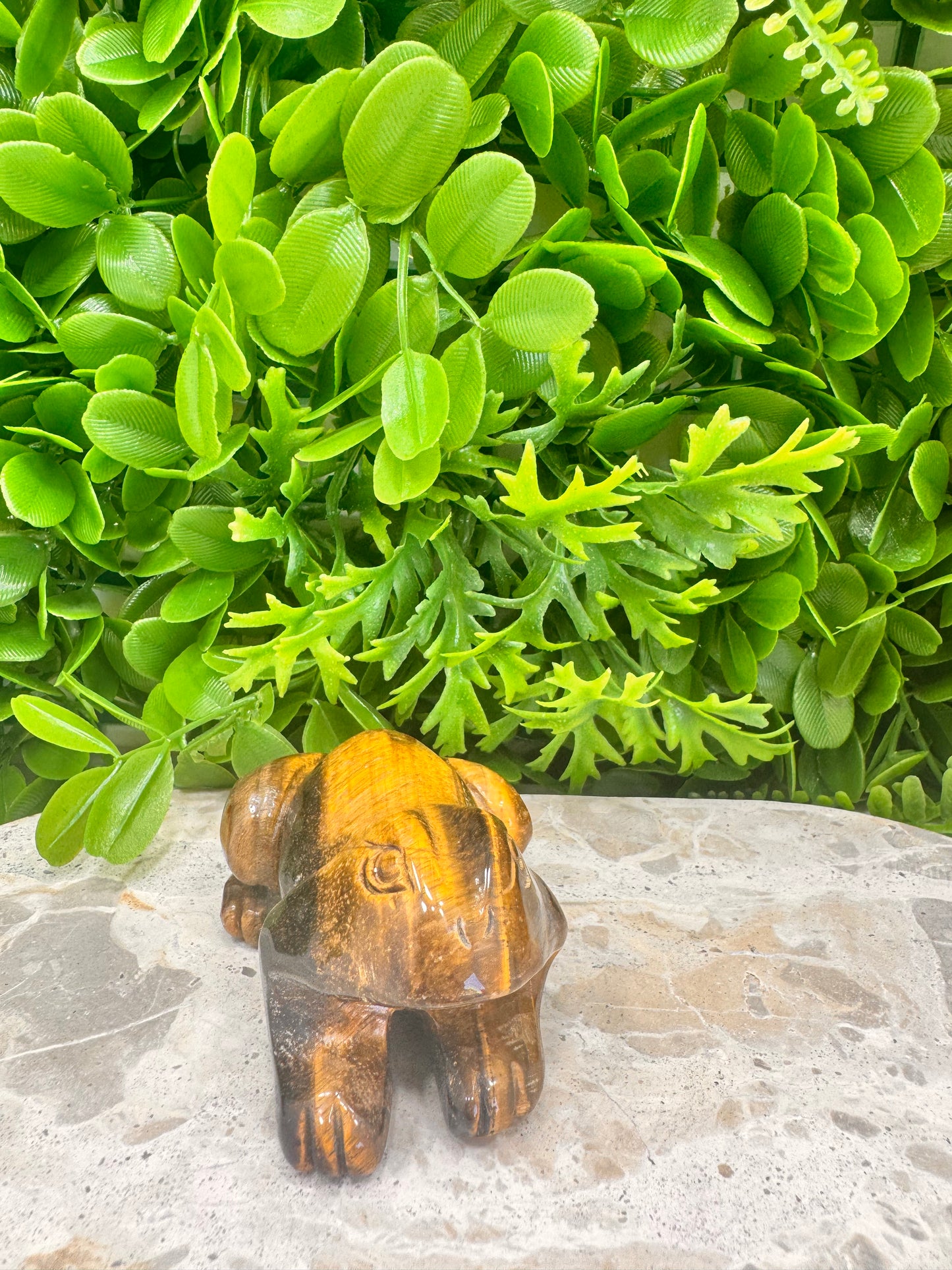 Tiger Eye Frog 260g