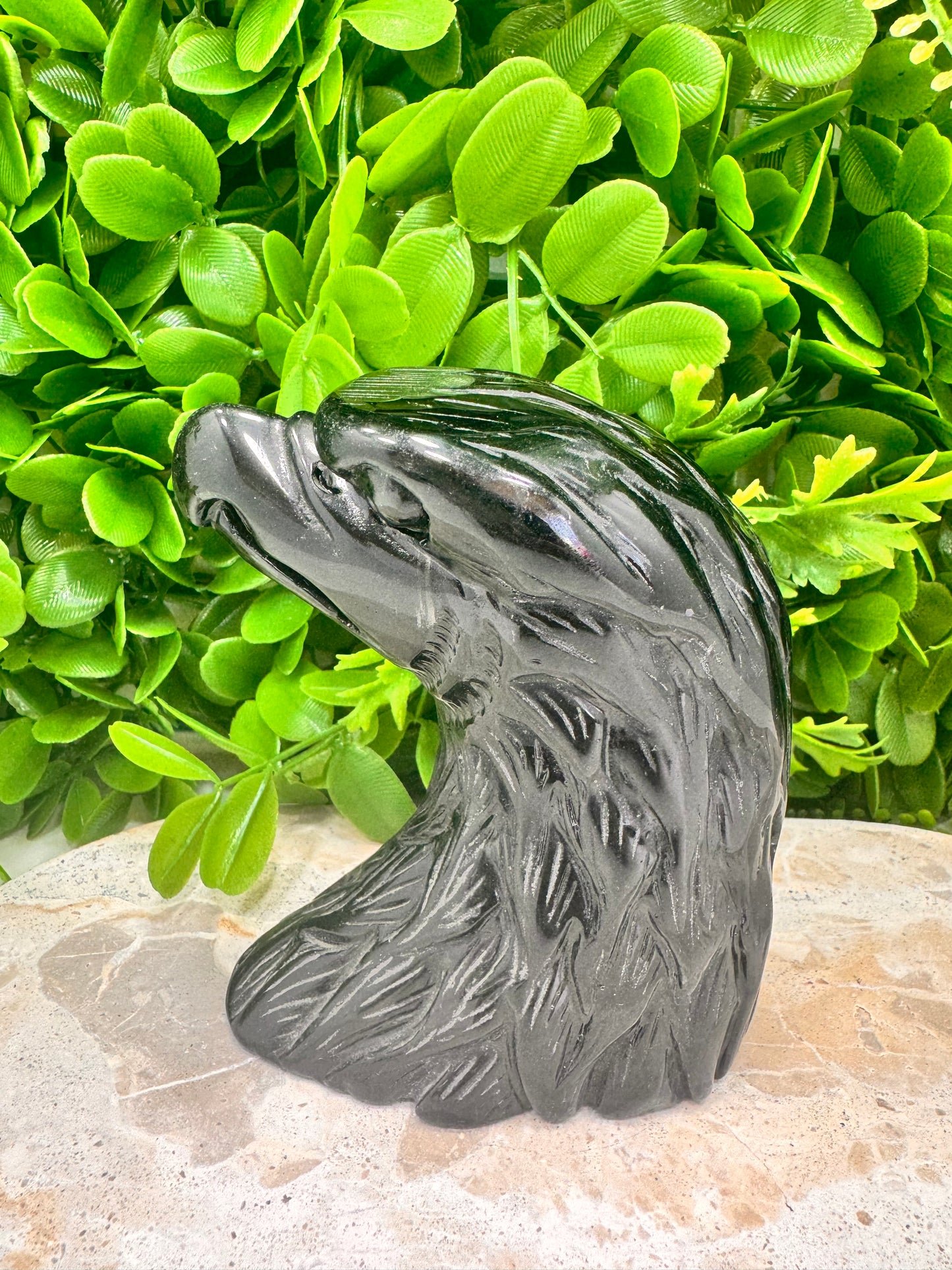 Black Obsidian Eagle 620g