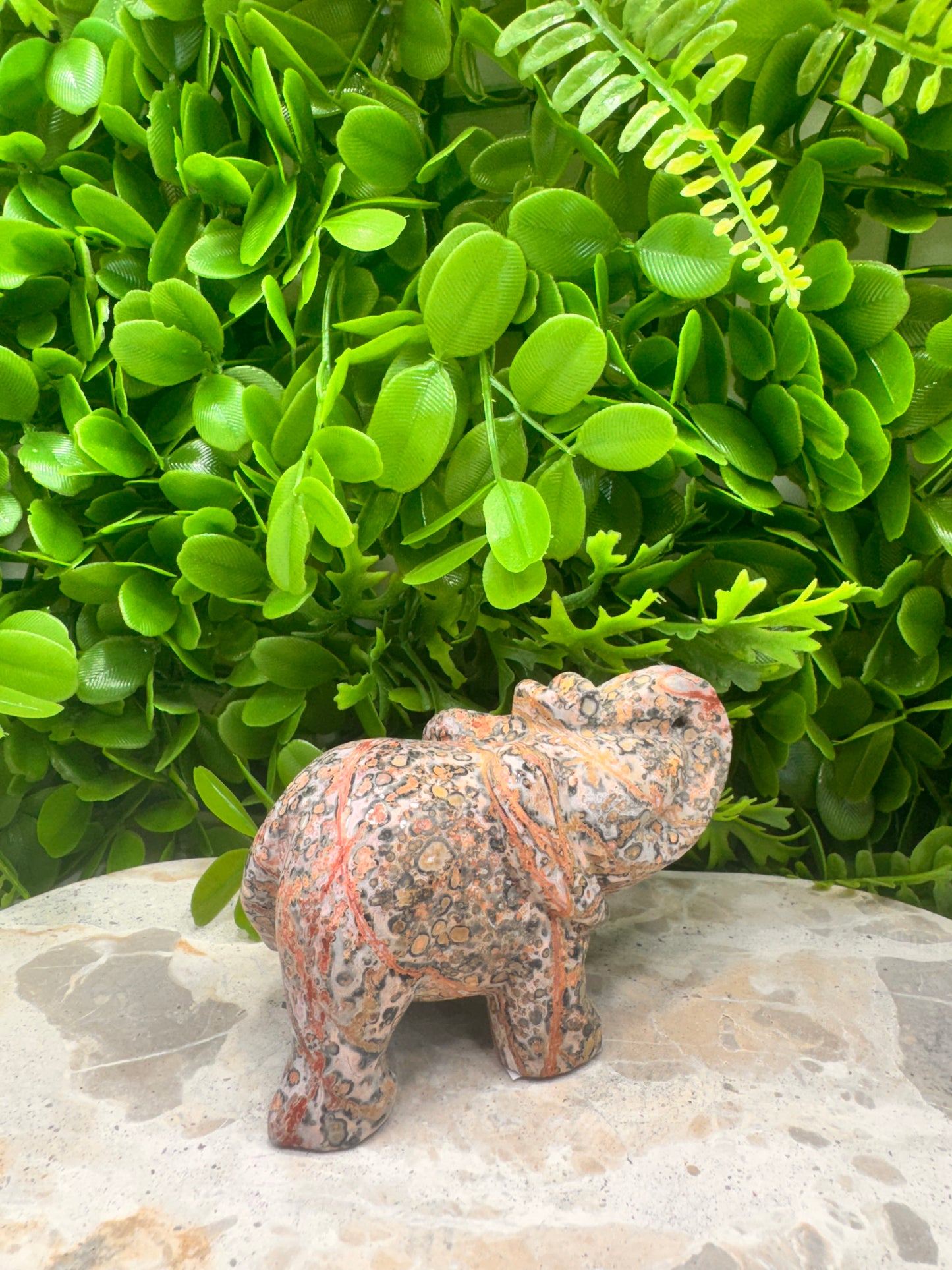 Red Leopard Skin Jasper Elephant 333g