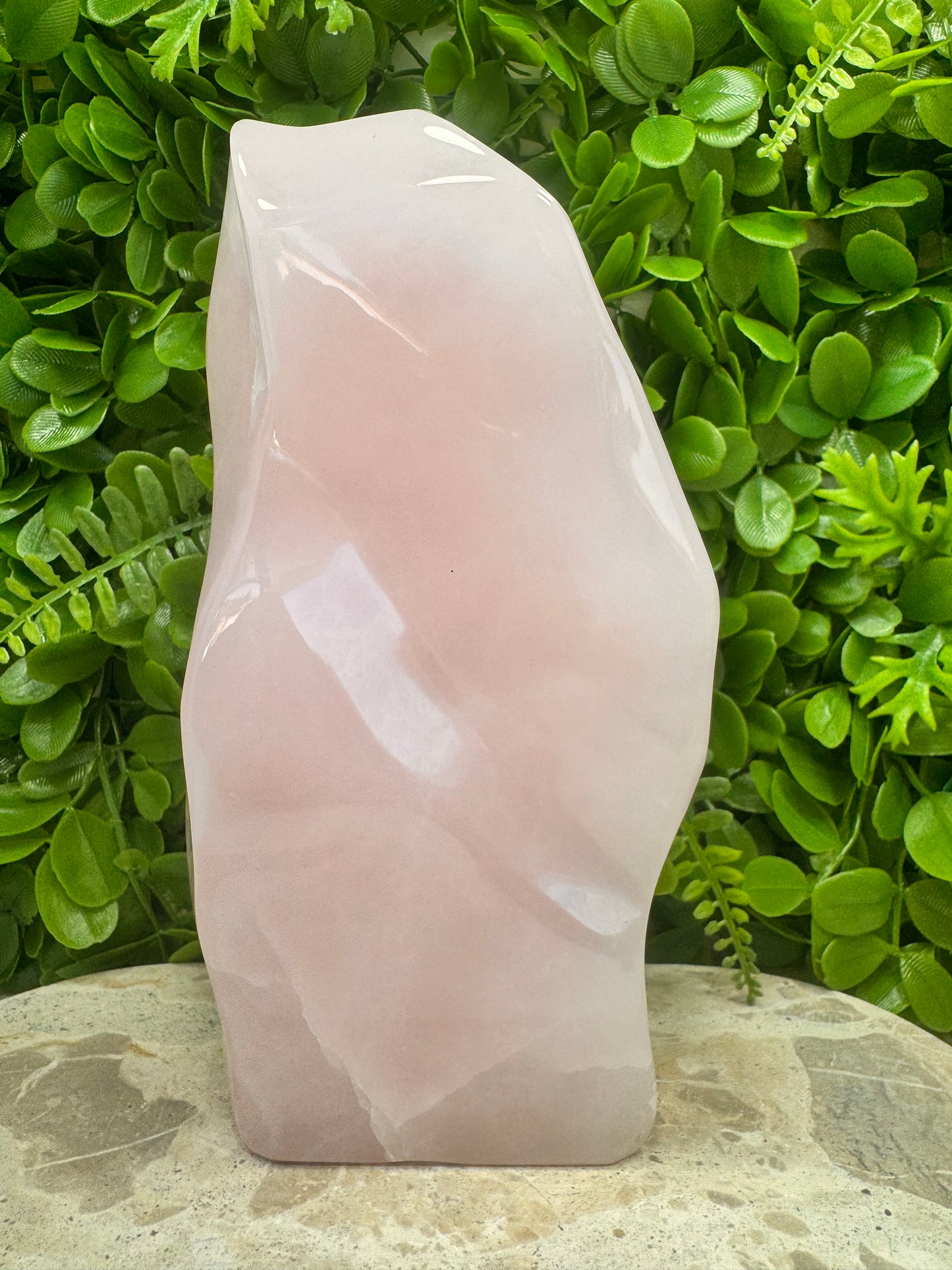 Pink Mangano Freeform 2424g