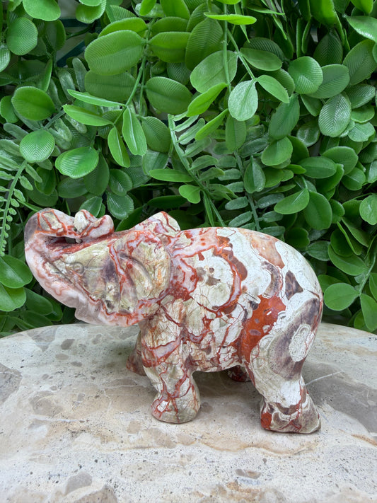 Money Agate Elephant | Abundance • Prosperity • Success