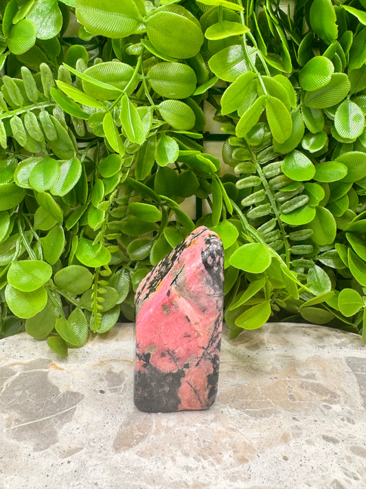 Rhodonite Freeform 270g