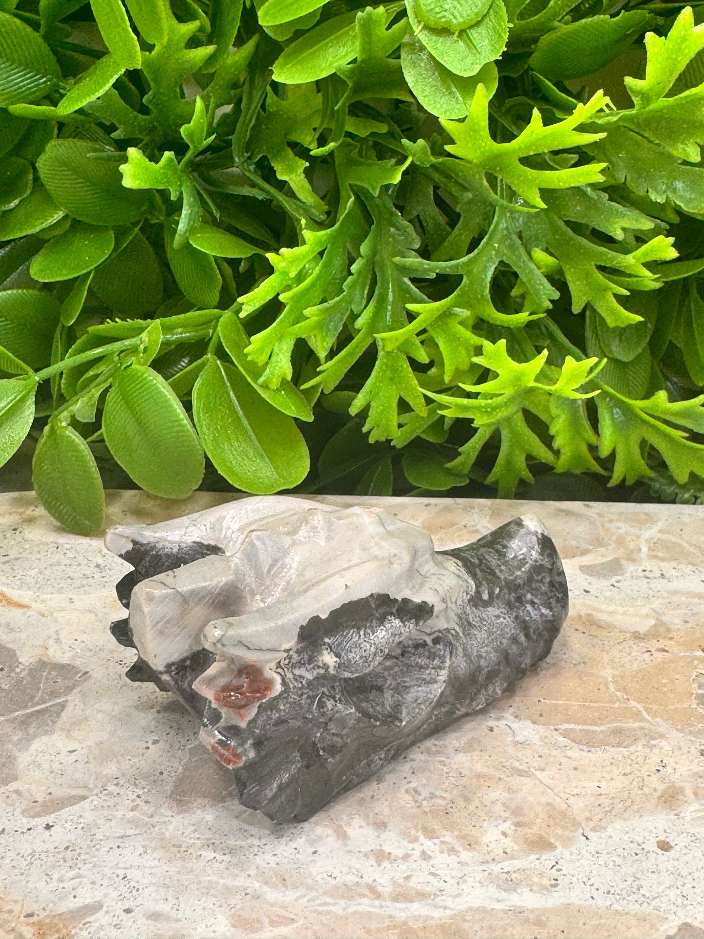 Jasper Dragon Skull 120g