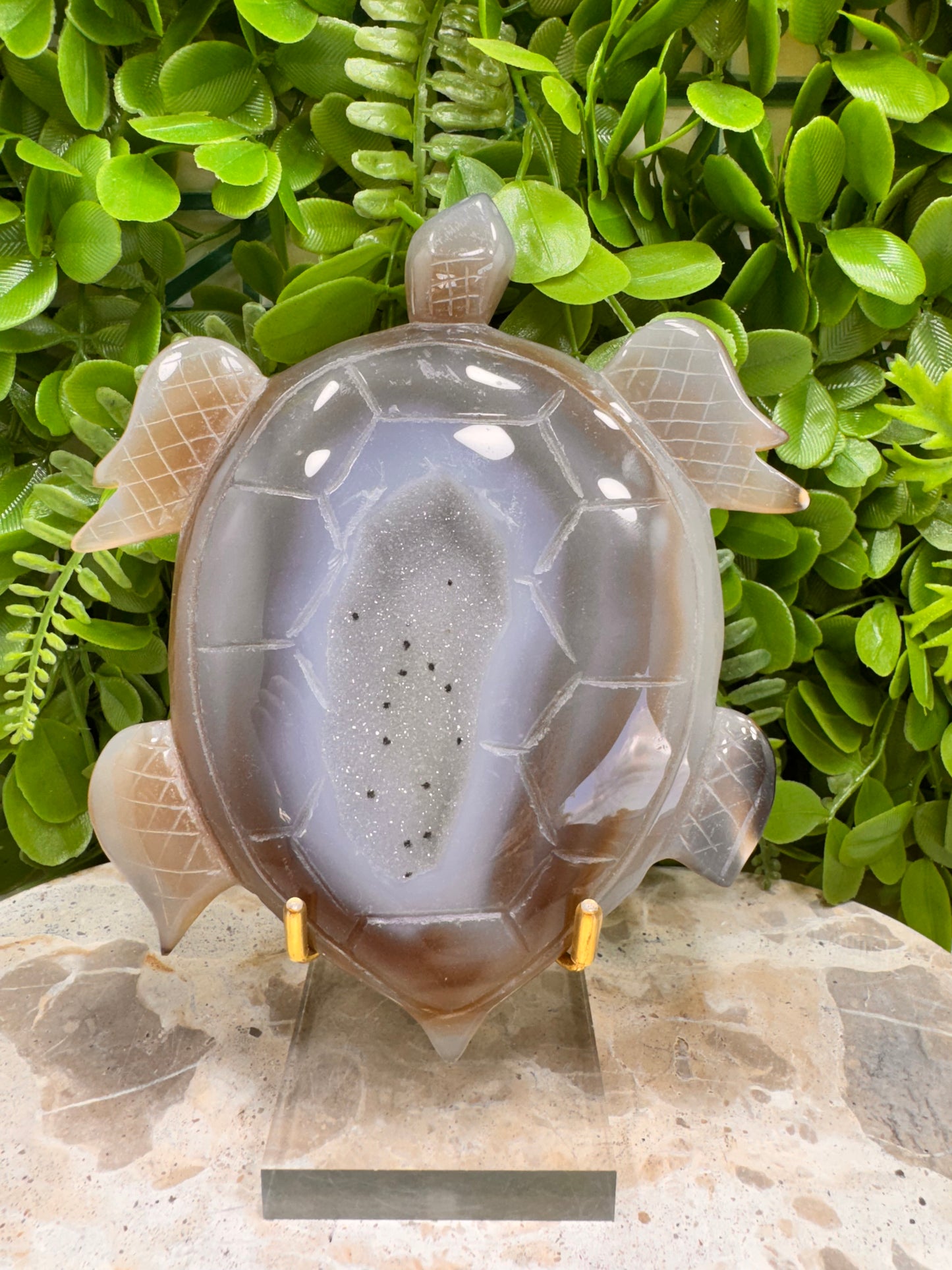 Druzy Agate Turtle 372g