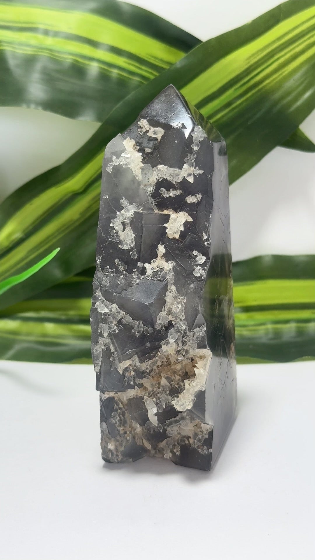 Fluorite Tower Freeform 544g