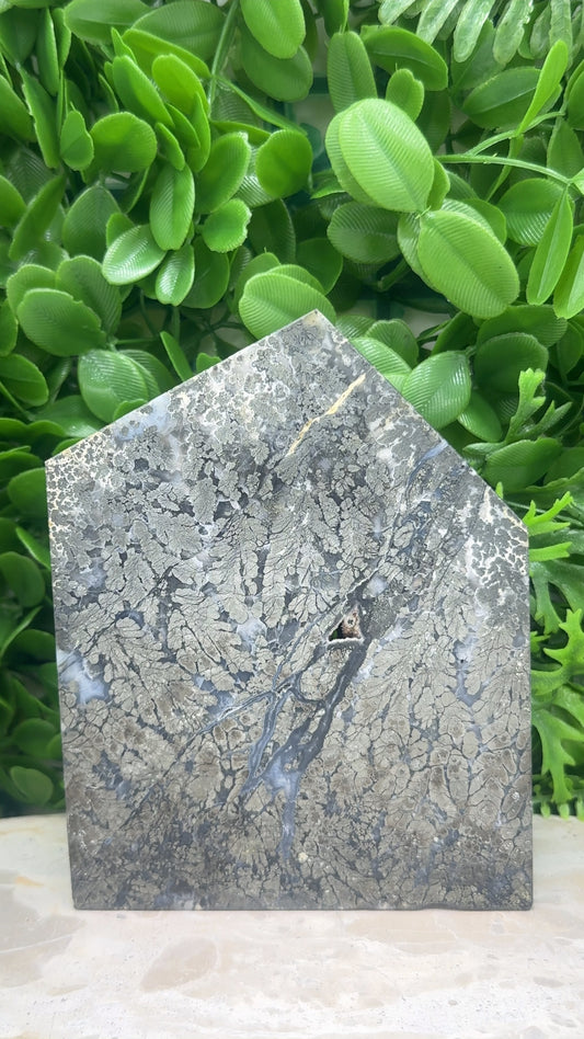 Pyrite and Moss Agate Slice 610g