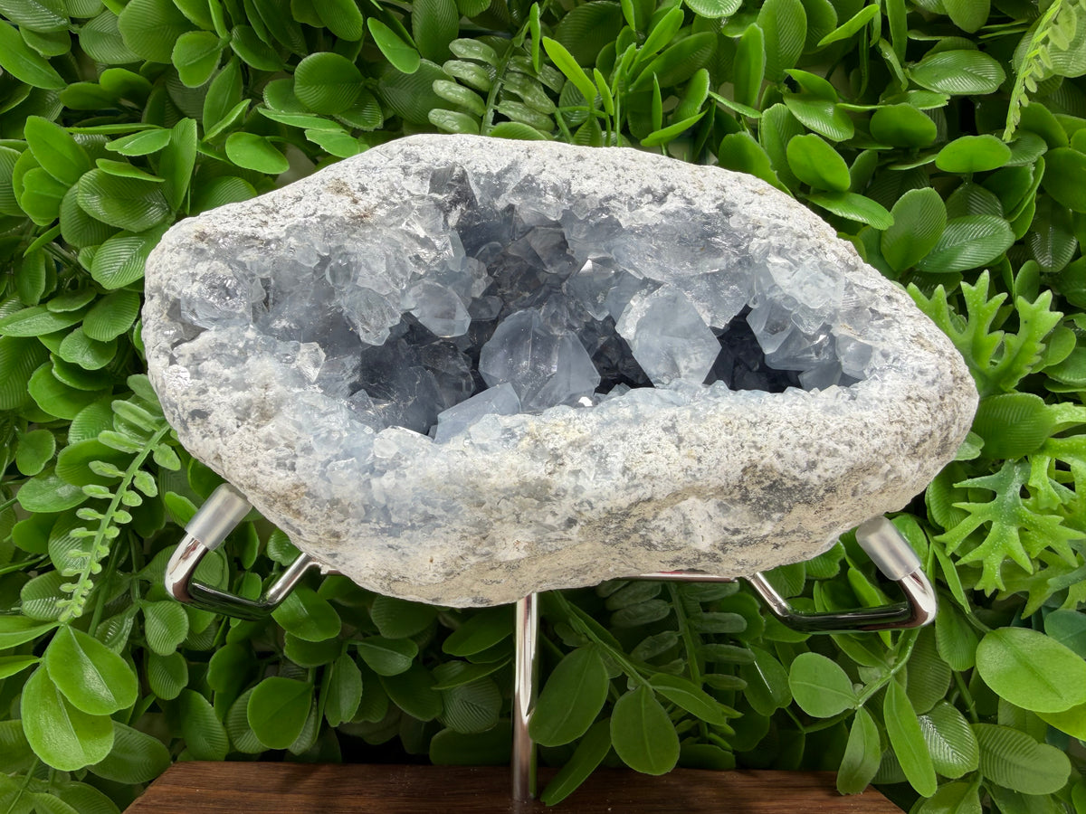 Blue Celestite Freeform | Tranquility • Communication • Peace