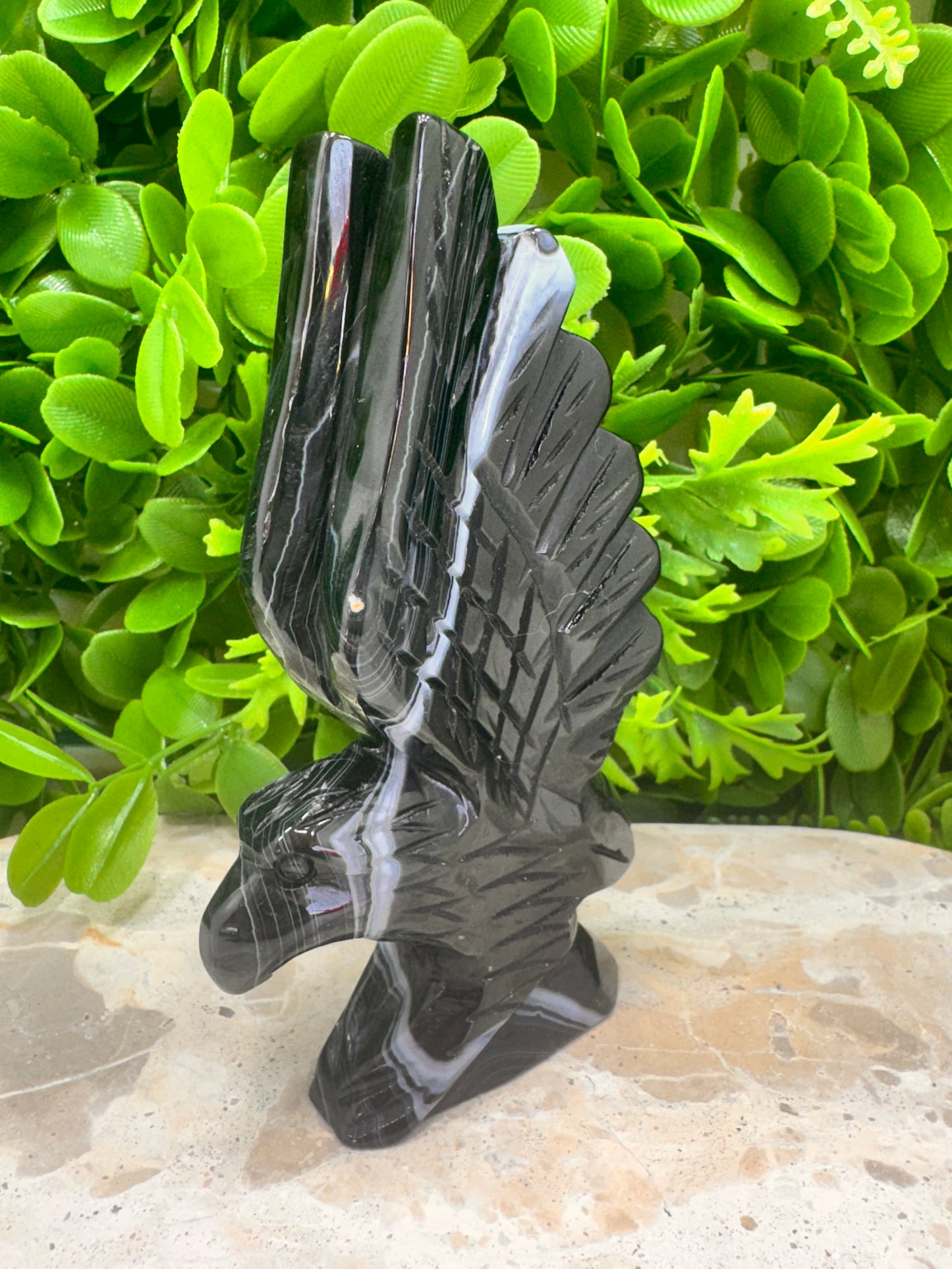 Black Banded Sardonyx Eagle 298g