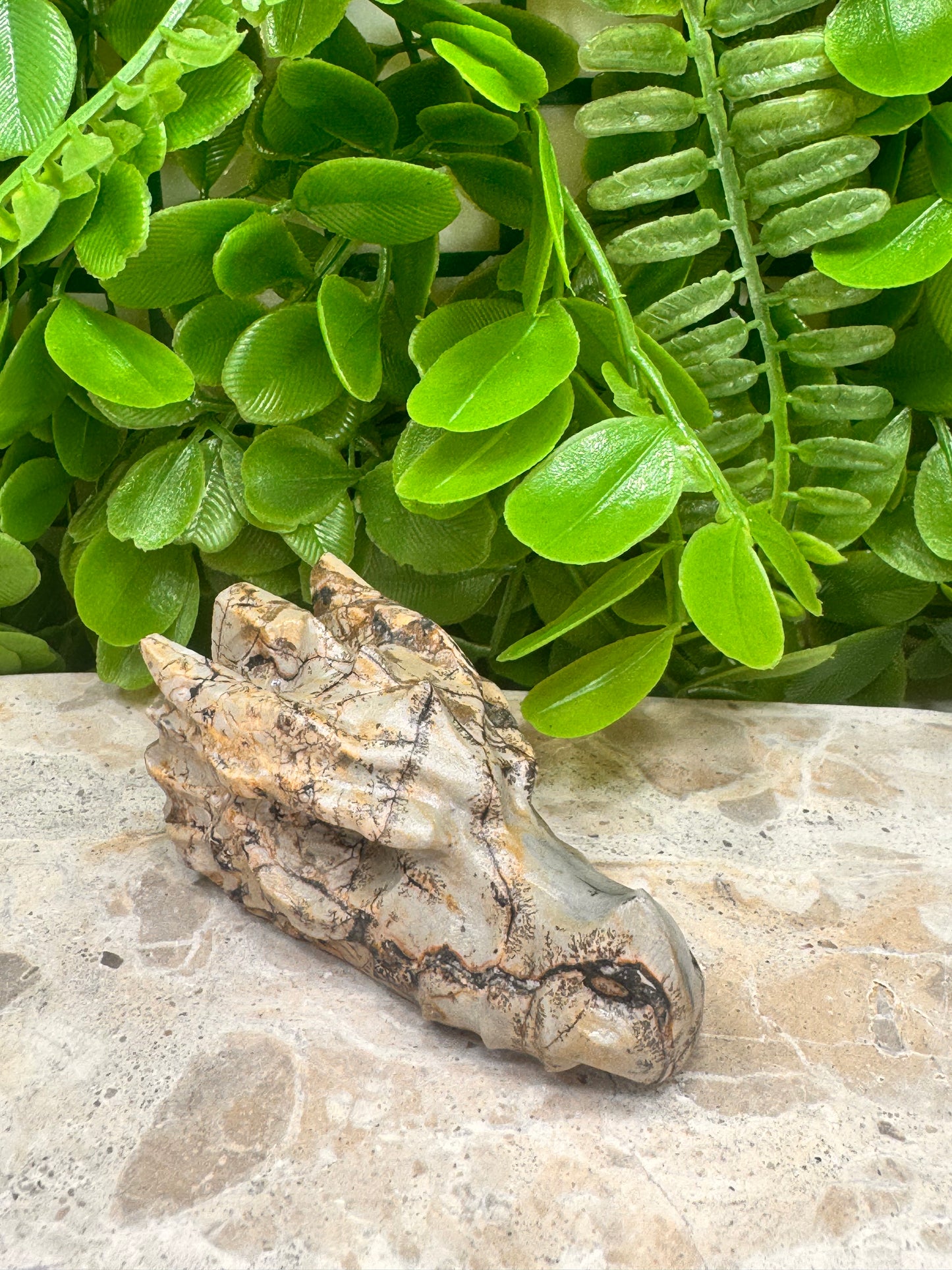 Picture Jasper Dragon Skull 118g